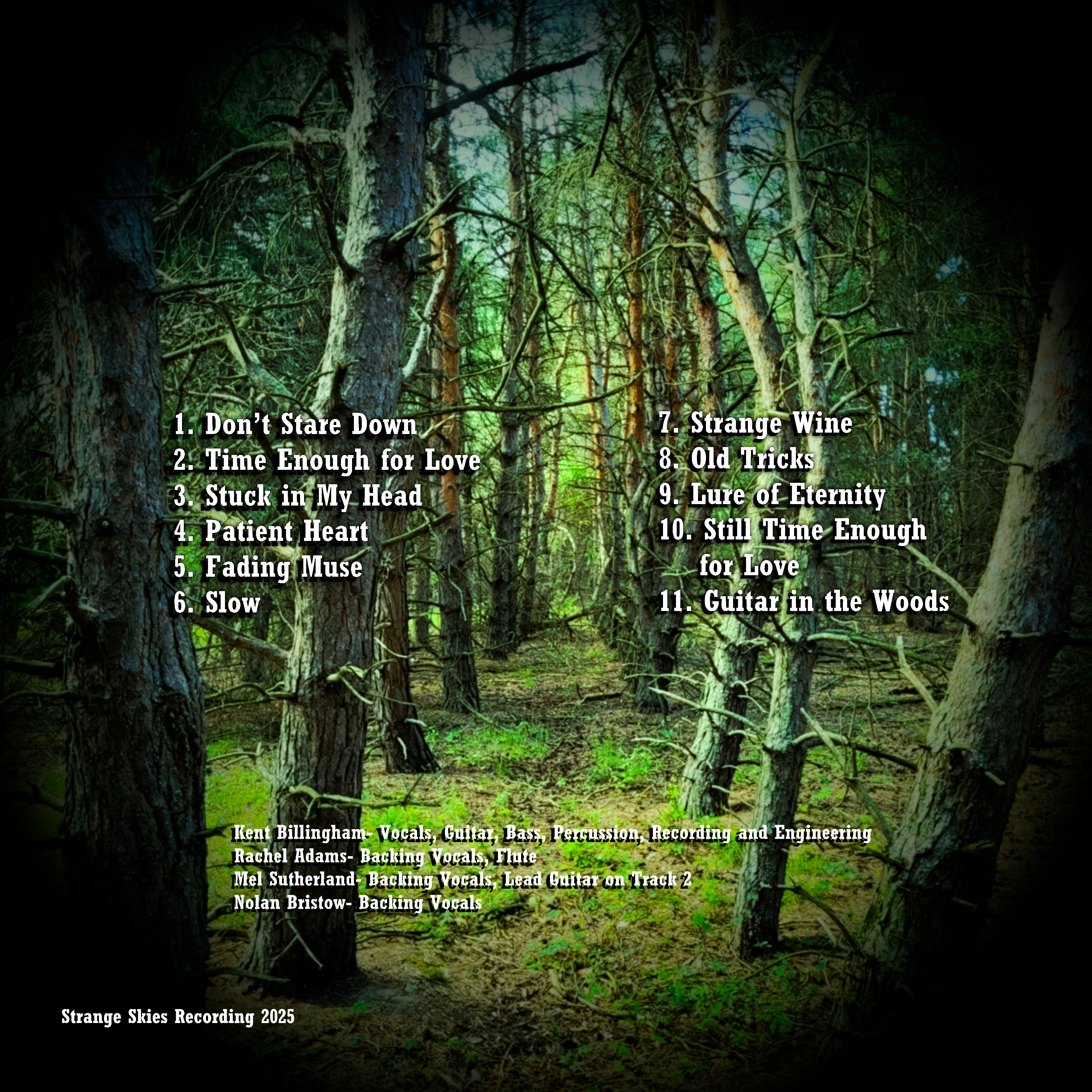 Patient Heart Presskit Image